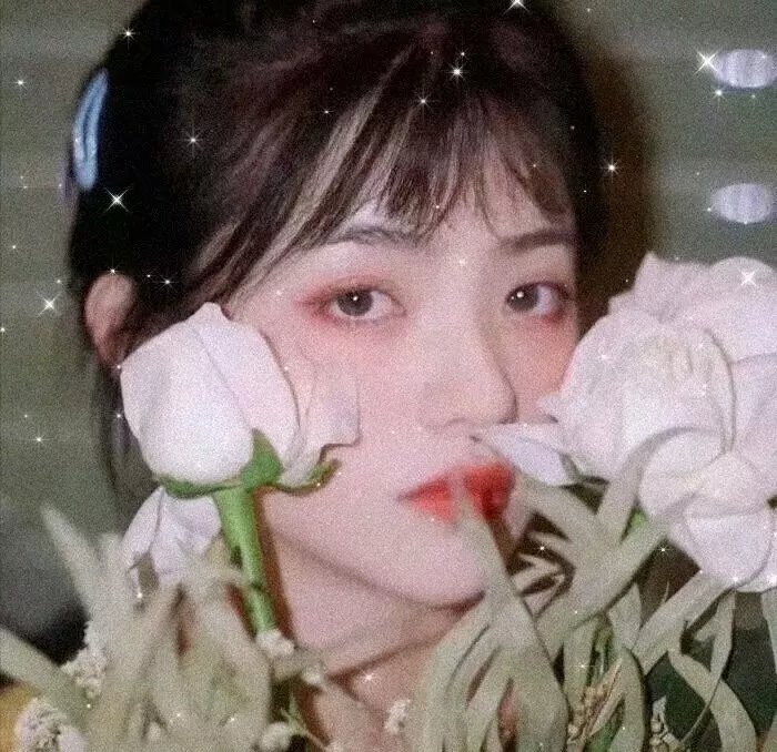 亚历克西纳之谜
