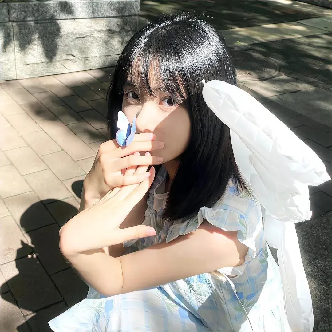 安妮·法兰克的最后七个月